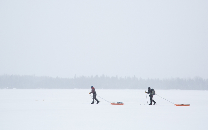 two cross country skiers pull small sleds behind them as they make their way across a vast snowy landscape. it appears to be snowing, as the line of trees in the background are whitened. 